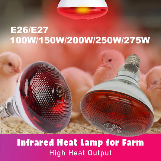 220V Infrared Heating Bulb Lamp 100/150/200/275W