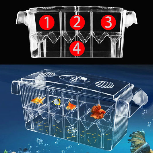 Aquarium Breeding Incubator Isolation Box