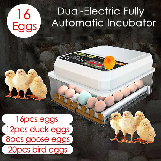 Automatic Egg Turning Incubator